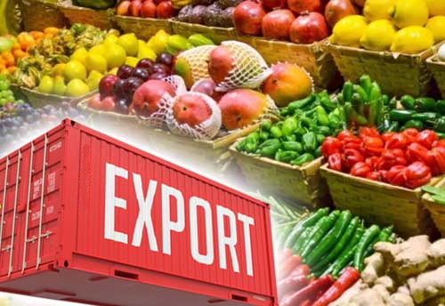 about Dhani Exports