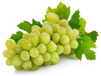 thompson-seedless-grapes